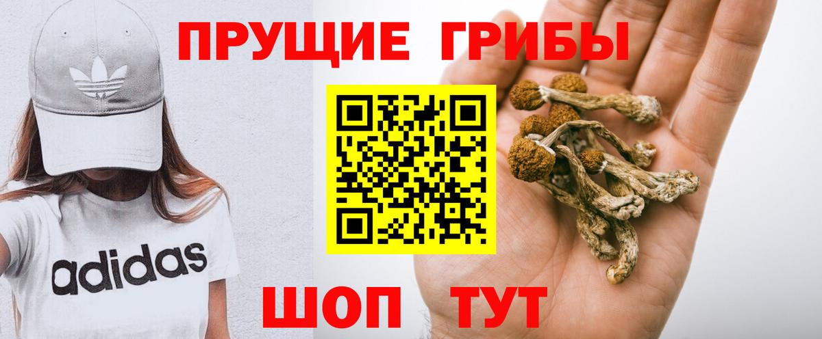Галлюциногенные грибы Psilocybine cubensis Краснокаменск